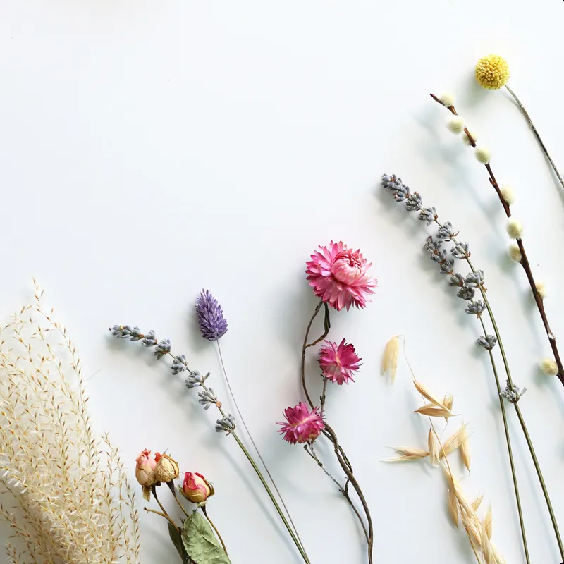 Trockene Blumen | Geschenkidee 