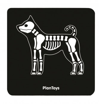 Tierarzt-Set für Kinder, PlanToys, ab 3 Jahren